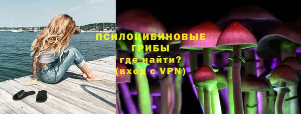 MESCALINE Верея