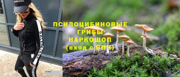 MESCALINE Верея