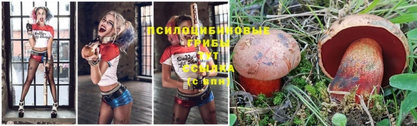 бошки Верхний Тагил