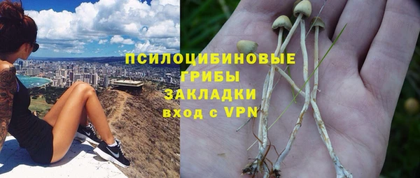 MESCALINE Верея